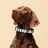 Prep School Blue Stripe Pet collar