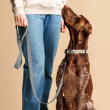 Autumn Garden Pet Collar