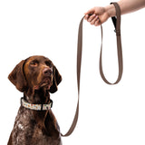 Autumn Garden Pet Collar